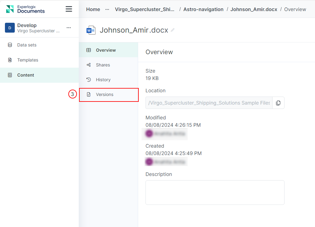 Versioning7.png